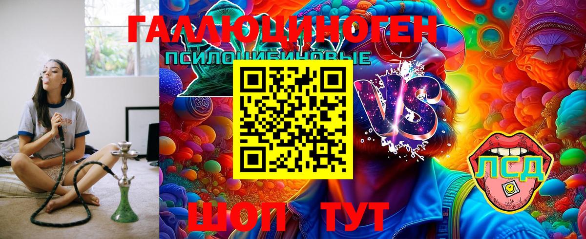 Железноводск  Псилоцибиновые грибы GOLDEN TEACHER  Вход с VPN 